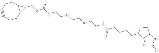 (1R,8S,9S)-双环[6.1.0]壬-二聚乙二醇-生物素