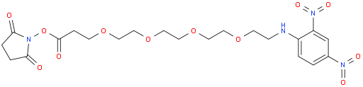 DNP-PEG4-NHS ester